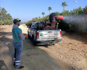 Tratamiento_Mosquitos2