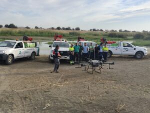 Tratamiento_Mosquitos3