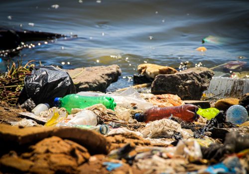 Residuos plásticos contaminando la orilla del agua